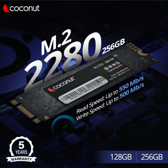 256GB M.2 SSD (2280)