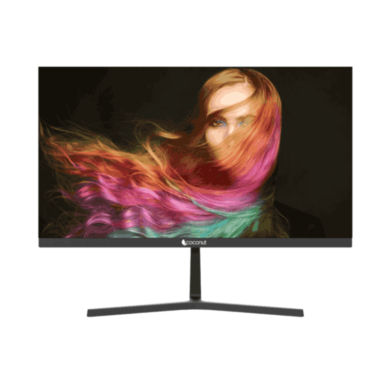 22 inch monitor