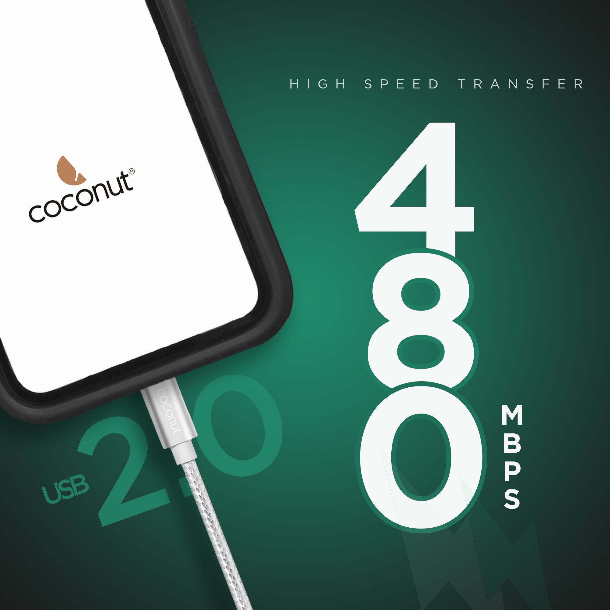 1M C11 USB to Lightning Charge & Sync Cable