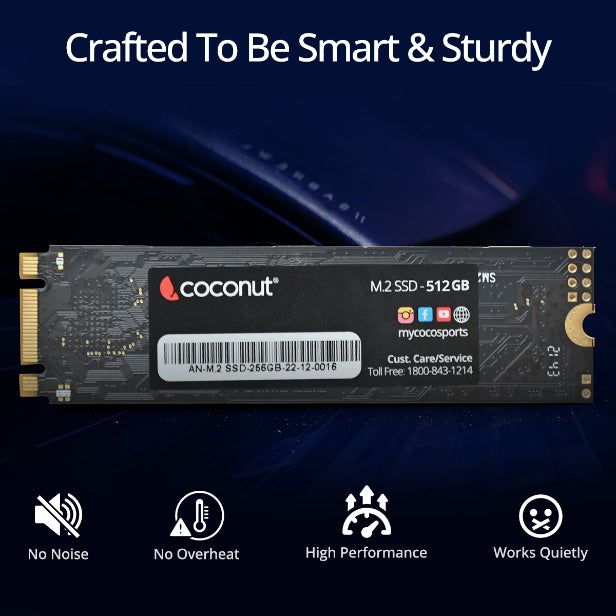 256GB M.2 SSD (2280) for fast storage and performance