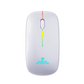 WM12 Stone Rechargeable Wireless Mouse