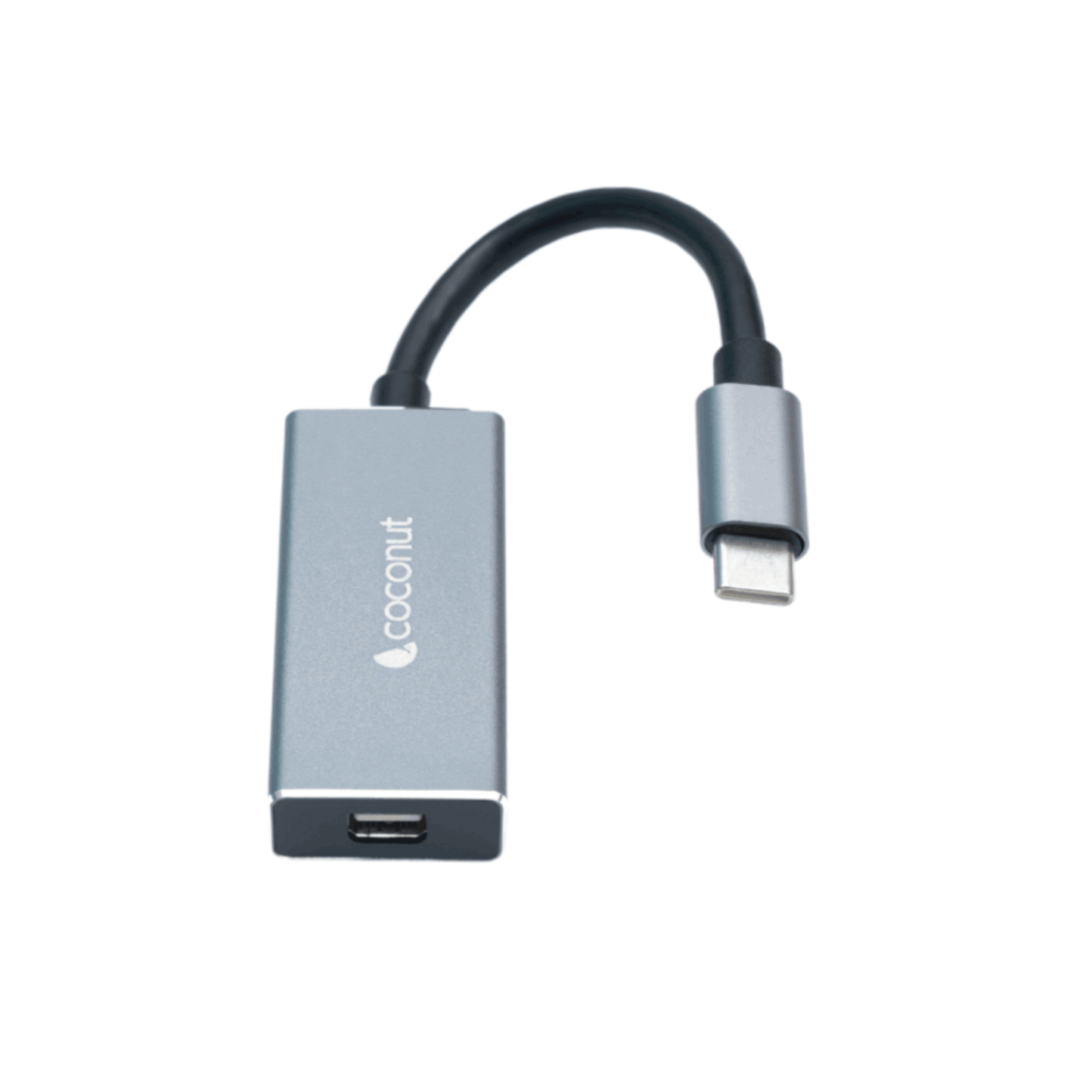 Type C to Mini DisplayPort Converter1