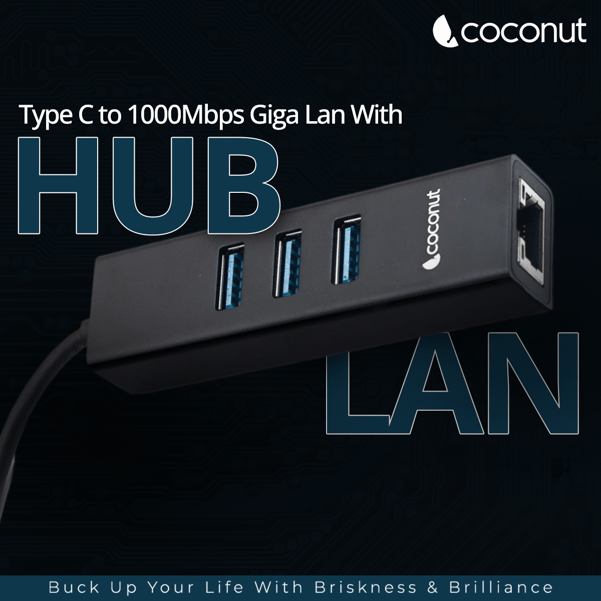 Type C to USB 3.1 Hub with Giga Lan for fast data transfer