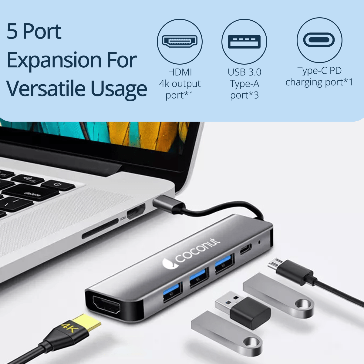 Type C Multiport Hub